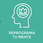 ASHTANGA YOGA SHALA, YOGA SHALA, ALQIMIA CORAZÓN YOGA SHALA, ALQUIMIA CORAZÓN CENTRO HOLÍSTICO, TERAPIAS ALTERNATIVAS, AYURVEDA, ASHTANGA YOGA MÉXICO, ASHTANGA YOGA, ASHTANGA VINYASA YOGA CDMX, MYSORE MÉXICO, MYSORE SYTLE, MYSORE YOGA, ACUPUNTURA CDMX, ACUPUNTURA MÉXICO, BIONEUROEMOCIÓN, ACOMPAÑAMIENTOS EN BIONEUROEMOCIÓN